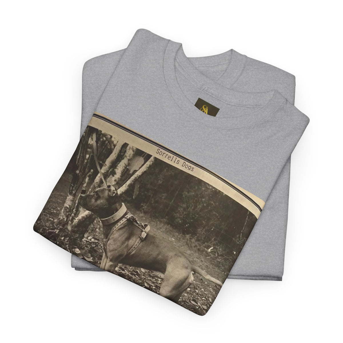 Unisex Heavy Cotton Tee